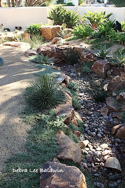 Dry River, Drought Tolerant Garden, Drought Tolerant Landscape, Creek Bed, Rock Garden Landscaping, Dry Creek, Rain Garden, Native Garden, Agaves