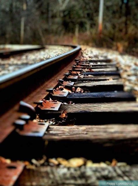 Rail Line Background, Train Tracks Photography, Line Photography, Artsy Photography, Creative Photography Techniques, Old Train, Foto Tips, 수채화 그림, Cute Photography