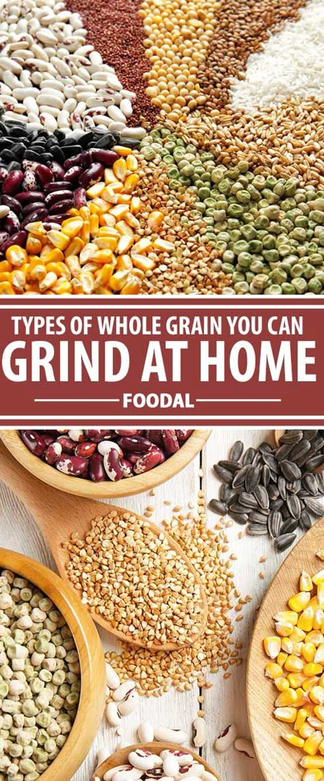 Growing Wheat For Flour, Growing Grains At Home, Home Milled Flour Recipes, Bean Flour Recipes, Flour Milling, How To Make Flour, Whole Grain Cereals, Homemade Pantry, Silent Killer