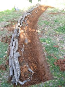 Food Forest Garden, Hillside Garden, Hillside Landscaping, Erosion Control, Sloped Garden, Permaculture Gardening, Permaculture Design, Forest Garden, Food Forest