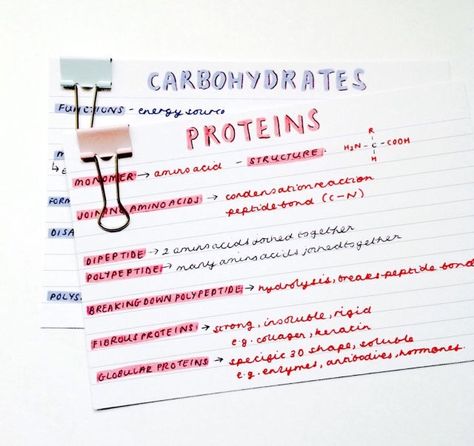 Flashcards and I have built an intimate relationship over years of studying. My first memory of using flashcards I recall is from when I was learning to read and my mother made flash cards for difficult words. Since then, flashcards have helped me ingrain more vocabulary words into my head than I can count. During the pre-Google phase of my life, I would write a series of unknown words on note cards and look up the words at the local library. This helped reinforce my early literary development. Cardiff University, Study Cards, College Notes, Study Flashcards, School Organization Notes, Biology Notes, Study Organization, Notes Organization, Study Inspo