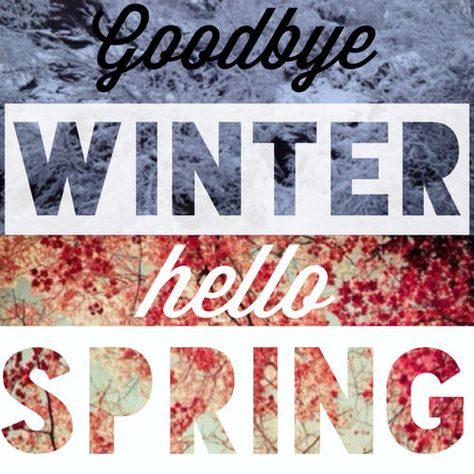 Goodbye Winter, Hello Spring Hello Spring Quotes, Goodbye Winter Hello Spring, Winter Break Quotes, Goodbye Winter, Spring Preschool Activities, Spring Poem, March Themes, Spring Scenery, Hello Goodbye