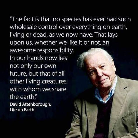 Humankind's awesome responsibility – a quote from David Attenborough – 'Life On Earth' Planet Destruction, Biology Quotes, David Attenborough Quotes, Environmental Quotes, Quotes About Change, Save Our Earth, David Attenborough, Climate Crisis, Environmental Awareness