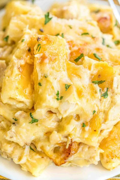 Cheesy Chicken Rigatoni - Plain Chicken Munster Cheese Recipes Chicken, Chicken Rigatoni Pasta Recipes, Munster Cheese Recipes, Cheesy Chicken Rigatoni, Easy Weeknight Casseroles, Chicken Rigatoni, Weeknight Casseroles, Chicken Pasta Casserole, Cheesy Chicken Pasta