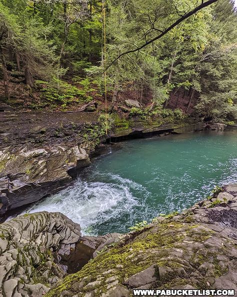 Exploring the Big Falls Swimming Hole in Tioga County Hidden Oasis, Gorges State Park, Camping Vacation, Small Water Features, Waterfall Trail, Swimming Hole, Pine Island, Watering Hole, Beautiful Landscape Photography