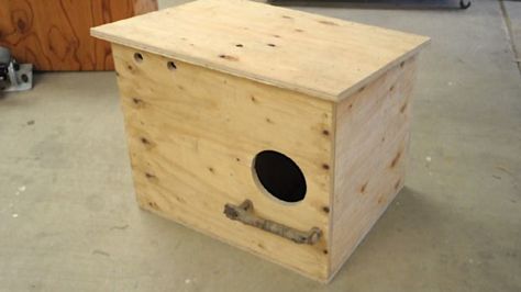 How to Build and Owl Nest Box (VIDEO) Owl Nesting Boxes, Owl Boxes, Owl Birdhouse, Owl Nest Box, Owl Nest, Bird House Plans Free, Diy Owl, Owl Box, Nest Box