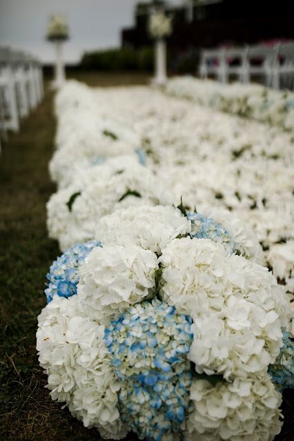 Cape Cod Wedding Aesthetic, Cape Cod Party, Cape Cod Wedding Decor, Cheap Beach Wedding, Cape Cod Wedding Venues, Anniversary Reception, Cape Wedding, Hydrangea Arrangements, Hydrangeas Wedding