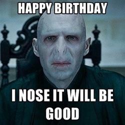 Voldemort birthday meme Harry Potter Birthday Meme, Happy Birthday Humorous, Happy Birthday Harry Potter, Funny Happy Birthday Meme, Happy Birthday For Him, Funny Wishes, Funny Birthday Meme, Funny Happy Birthday Wishes, Birthday Memes