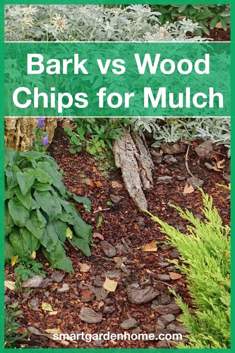 Woodchips Garden Landscaping, Bark Garden Ideas, Woodchips Garden Ideas, Bark Mulch Landscaping, Wood Chips Landscaping Ideas, Front Yard Aesthetic, Bark Landscaping, Bark Chippings Garden, Wood Chips Landscaping