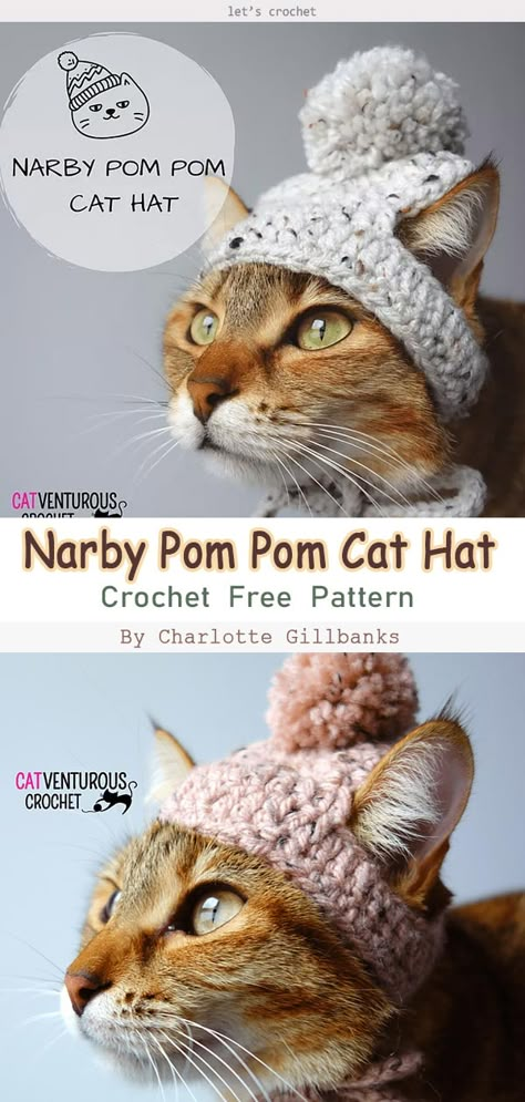 Crochet For Kittens, Crochet Collar For Cat, Crocheted Cat Pattern, Crochet Stuff For Cats, Crochet Cat Outfits, Crochet Cat Patterns Free, Crochet Things For Cats, Crochet Cat Sweater Free Pattern, Crochet Hats For Cats