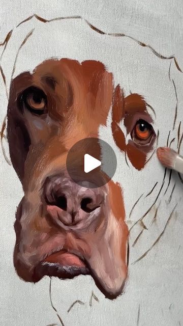 Portraits Art, Instagram King, Animal Portraits Art, Animal Portraits, Pet Portrait, Portrait Art, Dog Art, Art Videos, Pet Portraits