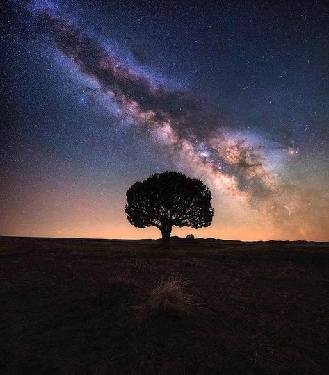 Nature Photography Night, Nightscape Photography, Photography Camera Settings, Night Time Sky, Night Photography Portrait, Milky Way Photos, Landscape Night, Milky Way Photography, Night Landscape Photography