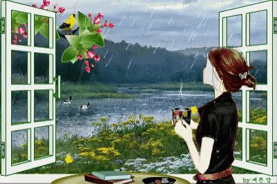 Raining Rainy Day GIF - Raining RainyDay Gloomy - Discover & Share GIFs Rain Gif, I Love Rain, Gif Photo, Love Rain, Morning Gif, Good Morning Gif, Morning Flowers, Open Window, Art Plastique