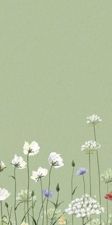 Green Aesthetic Flowers Wallpaper, Cute Simple Flower Wallpapers, Sage Green Wallpaper Aesthetic Simple, Simple Sage Green Iphone Wallpaper, Cute Minimalist Background, Cute Green Iphone Wallpaper, Cute Simple Wallpapers Green, June Aesthetic Wallpaper Iphone, Green Iphone Aesthetic Wallpaper