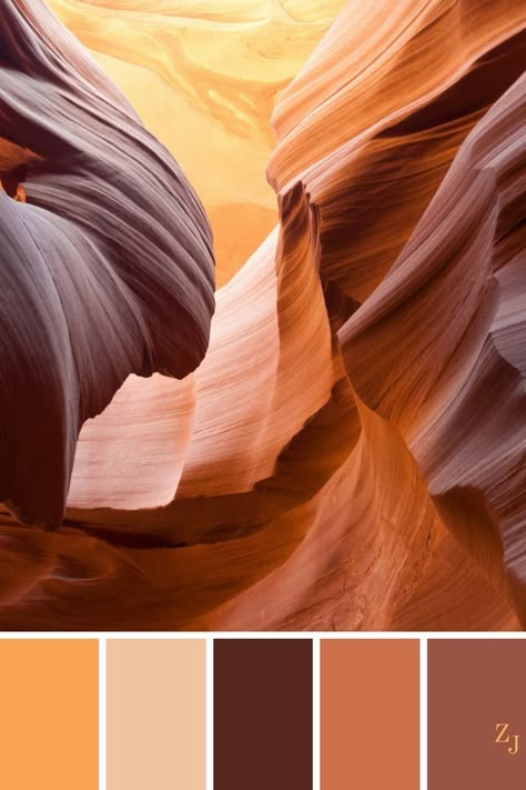 Ocre Color Palette, Warm Colours, Color Collage, Fall Inspiration, Color Palate, Design Seeds, Color Harmony, Color Balance, Beautiful Color Combinations