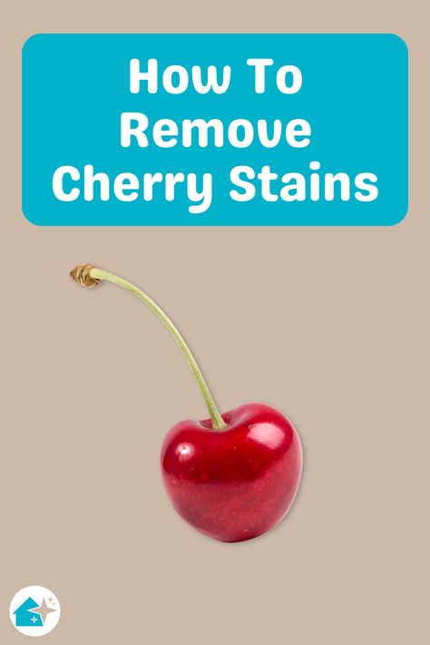 How To Remove Cherry Stain From Washable Fabrics Home Made Cleaning Products, Stain Removal Guide, Bing Cherries, Stain On Clothes, Cherry Stain, Laundry Stains, Clean Clothes, Diy Cleaning Solution, Cleaning And Organization