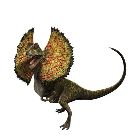 Dilophosaurus Jurassic World, Dinosaur Png, Jurrasic Park, Dinosaur Images, Dinosaur Drawing, Dinosaur Pictures, Jurassic World Dinosaurs, Jurassic Park World, Dinosaur Art