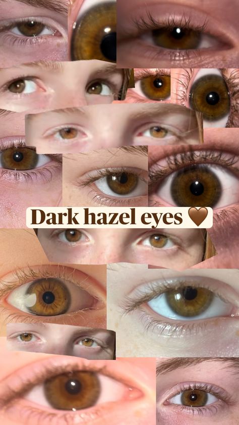 this is a dark hazel/light brown eyes appreciation post 🤎 #lightbrowneyes #darkhazeleyes #browneyes #hazeleyes Dark Hazel Eyes, Green Brown Eyes, Pretty Eyes Color, Hazel Brown Eyes, Light Brown Eyes, Rare Eye Colors, Dark Green Eyes, Desired Appearance, Brown Contact Lenses