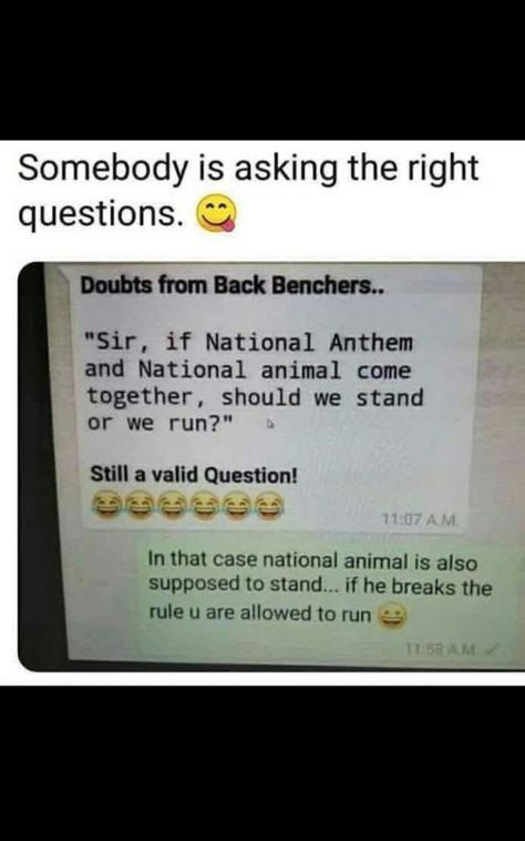 The National Anthem and the National Animal Exam Quotes Funny, Funny Attitude Quotes, Funny School Jokes, School Quotes Funny, Latest Funny Jokes, Funny Texts Jokes, Weird Quotes Funny, Funny Joke Quote, Me Quotes Funny