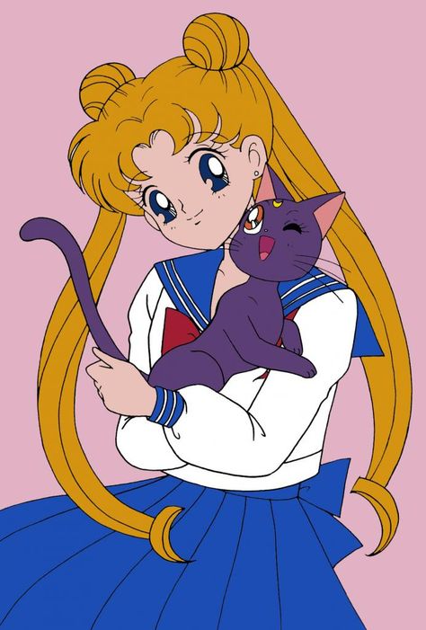 Sailor Moon And Luna, Usagi Luna, Serena Sailor Moon, Luna Aesthetic, Sailor Moon Party, Powerpuff Girls Characters, Moon Kingdom, Moon Icon, Arte Sailor Moon