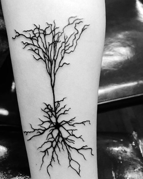 40 Neuron Tattoo Designs For Men - Nerve Cell Ink Ideas Nerve Tattoo, Neuron Tattoo, Small Dope Tattoos, Best Tattoo Ideas For Men, Dna Tattoo, Brain Tattoo, Tattoo Plant, Tattoo Zeichnungen, Best Tattoo Ideas