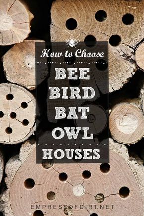 How to choose wildlife houses and nesting boxes to attract bees, birds, bats, and owls. Bee Houses, Bat House, Bird House Plans, Garden Insects, Cool Wood Projects, Bird Houses Diy, Wildlife Gardening, Nesting Boxes, Diy Garden Projects