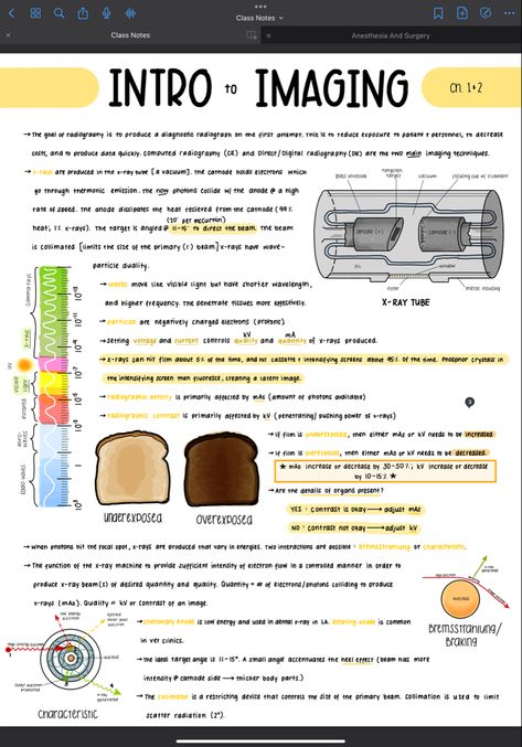 Xray Positioning Chart, Rad Tech Essentials, Radiology Cheat Sheets, Radiology Tech Student Aesthetic, X Ray Study Notes, Radiology Student Must Haves, Radiology Tech Student, Radiography Student Study, Radiology Student Study Rad Tech