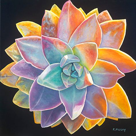 "Sherbet" oil painting by Robin McCoy Succulent Paintings, Succulents Drawing, Succulent Painting, Succulent Collection, Hawaii Art, Succulent Art, Coloring Art, Hawaiian Art, Painting Competition