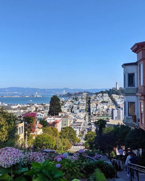 Lombard Street | San Francisco Travel Lombard Street Picture Ideas, San Francisco Painted Ladies, Lands End San Francisco, Lombard Street San Francisco, San Francisco Attractions, Streets Of San Francisco Tv Show, Inside House, Lombard Street, San Francisco Travel