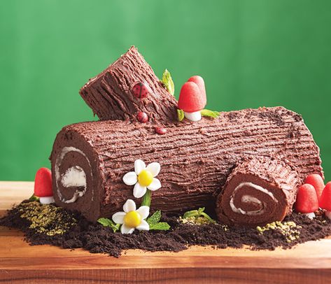 Swiss Roll Birthday Cake, Roll Birthday Cake, Roulade Cake, Gruffalo Party, Woodland Party Theme, Diy Birthday Cake, Woodland Cake, Forest Birthday, Woodland Birthday Party