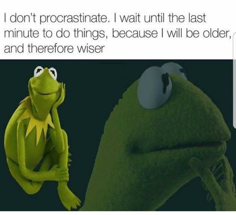 Yup, that exactly how I see it. Memes Kermit, Procrastination Humor, Kermit Memes, Kermit Funny, Meme Page, Dc Memes, Kermit The Frog, E Card, The Frog