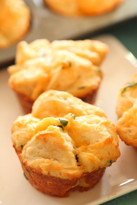 Cheesy Pull Apart Biscuits | Six Sisters' Stuff Cheesy Pull Apart Biscuits are easy to throw together. It's the perfect side dish when you feel like your meal needs one more dish. They are ingredients we often have on hand and you can have it on the table in less than 20 minutes. They are so yummy served warm. #biscuits #cheesybread Pull Apart Biscuits, Six Sisters Stuff, Canned Biscuits, Cooking Bread, Six Sisters, Cheesy Bread, Pull Apart, Perfect Side Dish, Biscuit Recipe