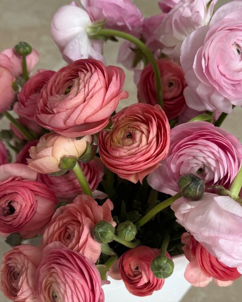 my absolute faves 😍 #ranunculus Ranunculus And Peonies, Ranunculus Peony Dahlia Bouquet, Renuculas Bouquet, Renuculas Flower, Ranunculus Garden, Ranunculus Wedding, Ranunculus Bouquet, Ranunculus Flower, Wedding April