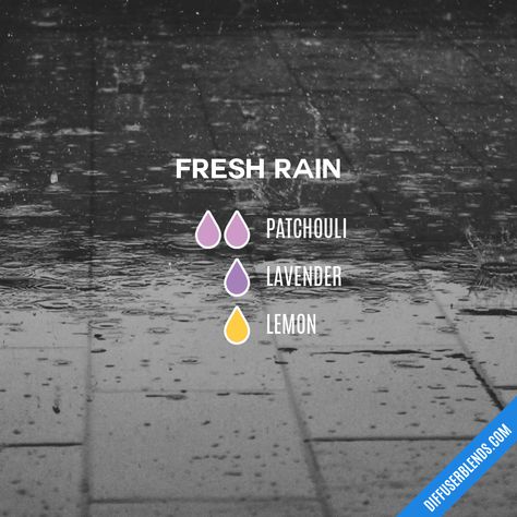 Fresh Rain Diffuser Blend, Rain Essential Oil Blend, Rain Diffuser Blend, Diy Essential Oil Diffuser, Essential Oil Perfumes Recipes, Eo Blends, Essential Oil Combinations, Essential Oil Diffuser Blends Recipes, Perfume Recipes