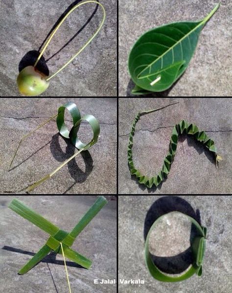 Some toys made from leaves... specially Coconut leaves Nostalgia Photography, Childhood Memories Quotes, Childhood Photography, Easy Rangoli Designs Videos, Childhood Memories Art, General Knowledge Questions, Diy Jewelry Set, Questions With Answers, Coconut Leaves