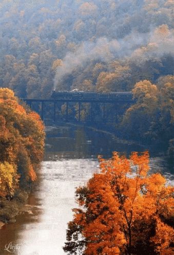 River GIF - River - Discover & Share GIFs Harpers Ferry, Old Trains, Cabin In The Woods, Autumn Beauty, A Bridge, Train Tracks, Train Travel, Fall Foliage, A Train