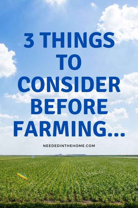 Time to start a farm? If you do not have any experience working on one, the reality may be different from what you expect to start your farm the right way. #Farming #HomeBusiness #Entrepreneur #NeededInTheHome Start A Farm, Business Connections, Starting A Farm, Scrapbook Printables Free, Farm School, Farming Business, Homestead Farm, Vegetable Farming, Survival Supplies