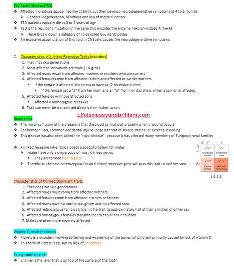 How to Use Microsoft Word to Type Organized and Efficient College Notes Notes Microsoft Word, Ms Word Notes, School Organization College, Notes Studying, Notes College, Notes Science, College Notes Organization, Organization College, Time Management College