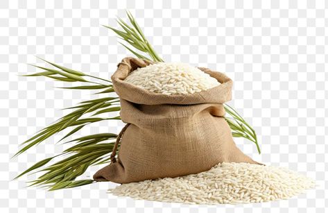 Sack Of Rice, Rice Png, Rice Crop, Rice Plant, Ux Design Mobile, Coral Draw, Rice Pack, Wheat Bag, Rice Bag