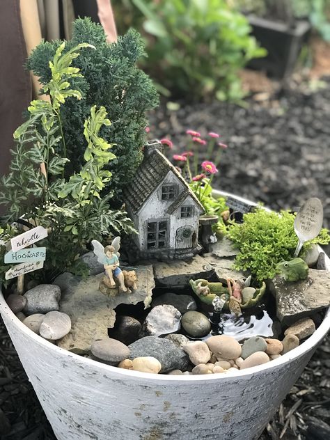 Forest themed fairy garden with water feature. Modern Fairy Garden, Fairy Garden With Water Feature, Fairy Garden Water Feature, Garden With Water Feature, Fairy Playhouse, Playhouse Garden, Fairy Garden Images, Fairy Garden Pots, Indoor Fairy Gardens