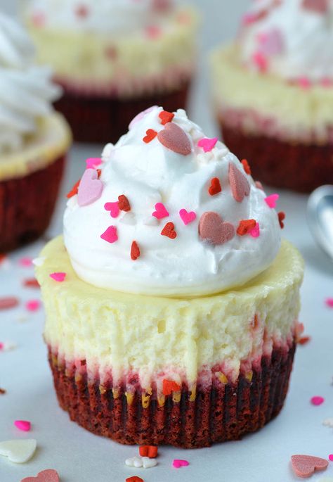 Valentine's Snacks, Red Velvet Cheesecake Cupcakes, Cheesecake Cakes, Miniature Desserts, Valentines Recipes, Savory Cakes, Velvet Cheesecake, Mini Cheesecake Recipes, The Cheesecake Factory