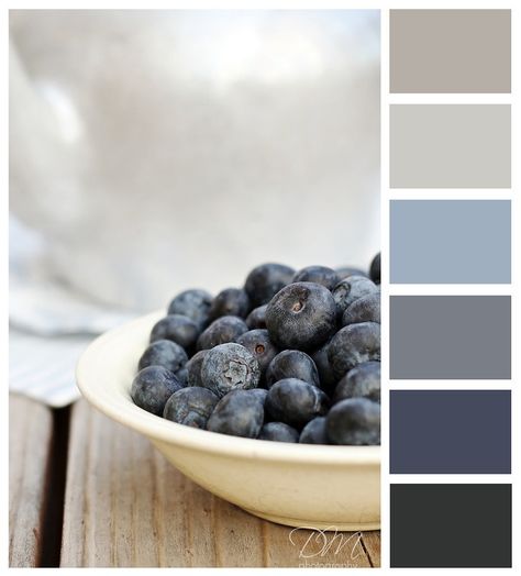 Blue Color Pallet, Blue Gray Bedroom, Airbnb House, Palette Design, Grey Color Palette, Grey Bedroom, Bedroom Color, Color Palate, Gray Bedroom