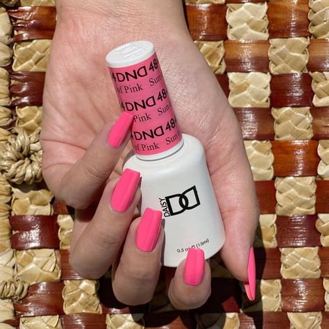 Daisy Nail Designs, INC. on Instagram: “Is there such thing as a ~subtle~ neon? We’ll be rocking #SunOfPink DND484 into the hot summer ahead 👙🌞” Daisy Nail Designs, Daisy Nail Design, Dnd Polish, Dnd Nails, Dnd Nail Polish, Pink Nail Colors, Gel Colors, Dnd Gel Polish, Summer Toe Nails