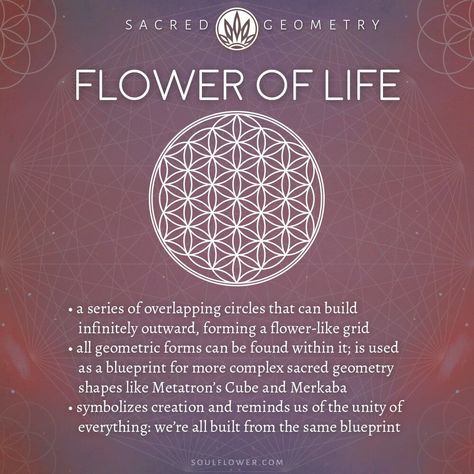 Flower of Life Meaning - Sacred Geometry Flower Of Life Meaning, Sacred Geometry Meanings, Flower Of Life Symbol, Life Meaning, Geometry Shape, Metatrons Cube, Platonic Solid, Seed Of Life, Life Symbol