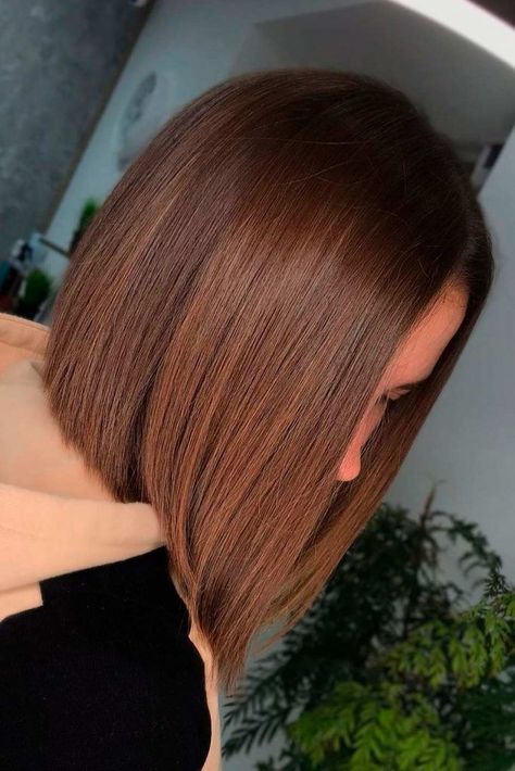 Auburn Bob Haircut, Dark Hair Hairstyles, Medium To Long Haircut, Hair With Color, Medium Bob Haircuts, Haircuts 2020, Long Hair Highlights, Rambut Brunette, Medium Bob Haircut