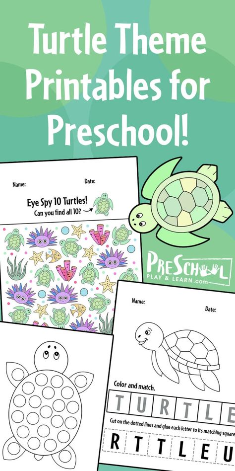 Tortoise Activities For Preschool, Turtle Projects For Preschoolers, Turtle Craft Kindergarten, Turtle Craft For Preschool, Turtle Activities For Kindergarten, Turtle Worksheets Preschool, Sea Turtle Preschool, Turtles Preschool, Turtle Day Activities