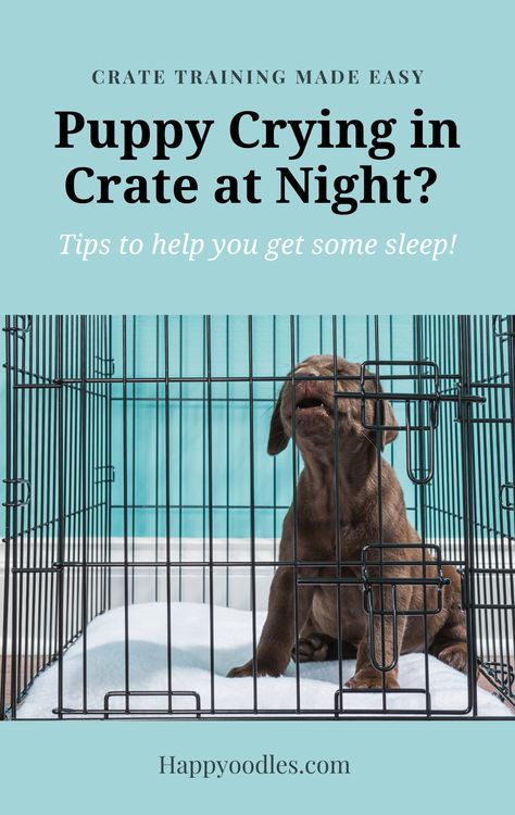 Kennel Training A Puppy At Night, Crate Training Puppy At Night, Puppy Crate Ideas, First Night With Puppy, Poodle Training, Puppy Training Guide, Crate Training Dog, Dog Crying, Puppy Tips