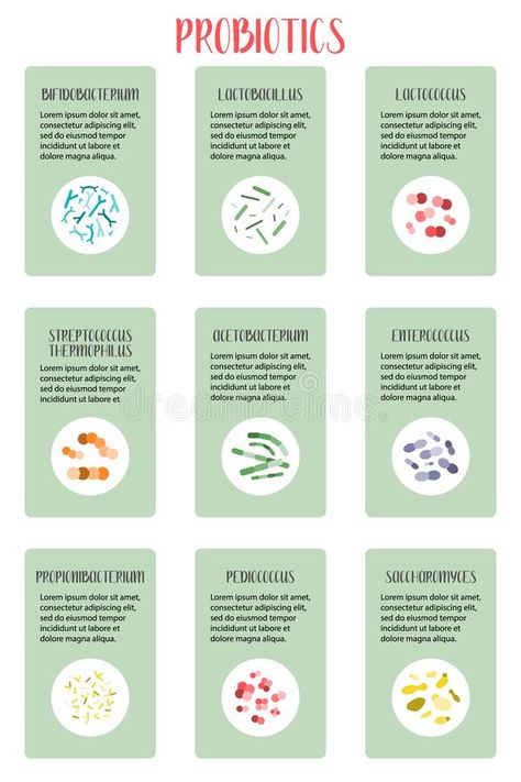 Probiotics. Lactic acid bacteria. Good bacteria and microorganisms for gut and i #Sponsored , #Affiliate, #Paid, #Lactic, #microorganisms, #gut, #acid Gut Microbiome Illustration, Microbiome Illustration, Anatomy Science, Biology Anatomy, Graphic Art Illustration, Flora Intestinal, Graphic Arts Illustration, Anti Bacteria, Gut Microbiome