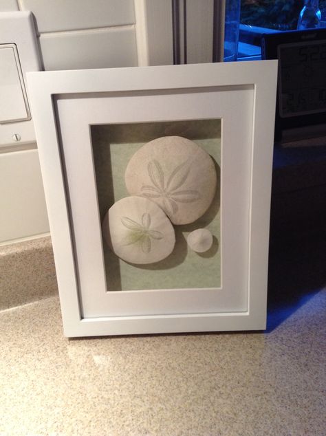 Sand dollars found in Tofino - DIY in a shadow box Bathroom Beach Decor, Sand Dollar Decor, Sand Dollar Crafts, Sand Dollar Craft, Sand Dollar Art, Dollar Art, Military Shadow Box, Sand Dollar Ornament, Baby Shadow Box