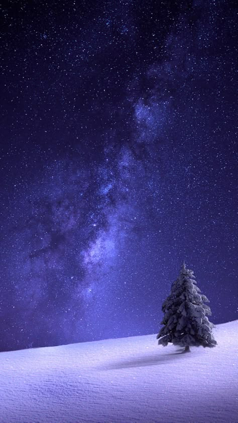 Winter Scenery, Snow Scenes, Winter Wonder, Alam Yang Indah, The Night Sky, Photo Images, Winter Landscape, Scenery Wallpaper, Winter Scenes